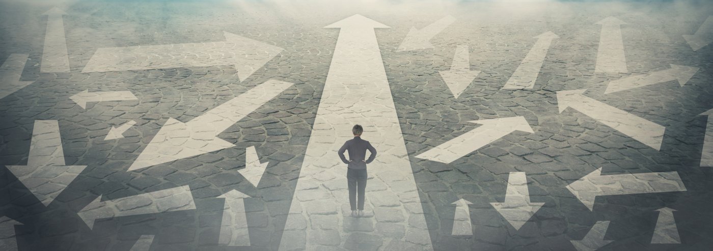 Career paths